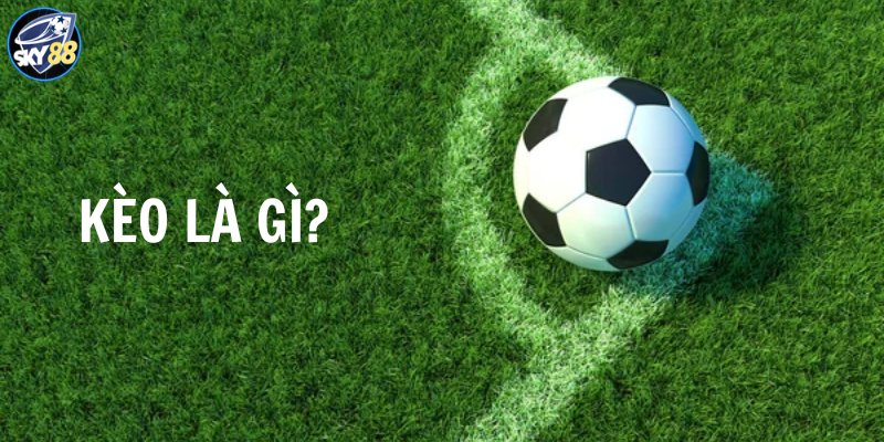 Tại sao nên chọn công ty cá cược được xếp hạng Kubet88 cho hoạt động cá cược của bạn? - Kubet88