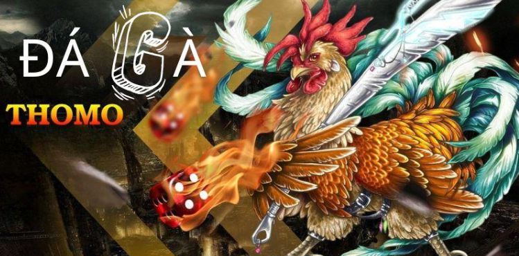 Dịch vụ hỗ trợ dành cho người chơi cấp Me88 - Me88