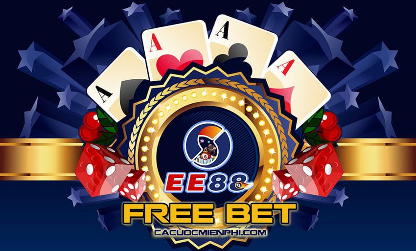 Kết luận chung của 1Xbet - 1Xbet