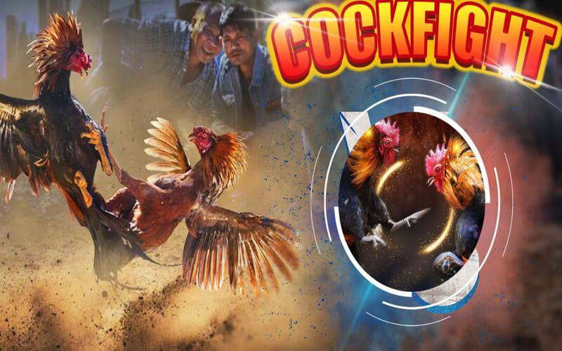 Game Bancah5 – Sự lựa chọn hoàn hảo cho những người đam mê game - Bancah5
