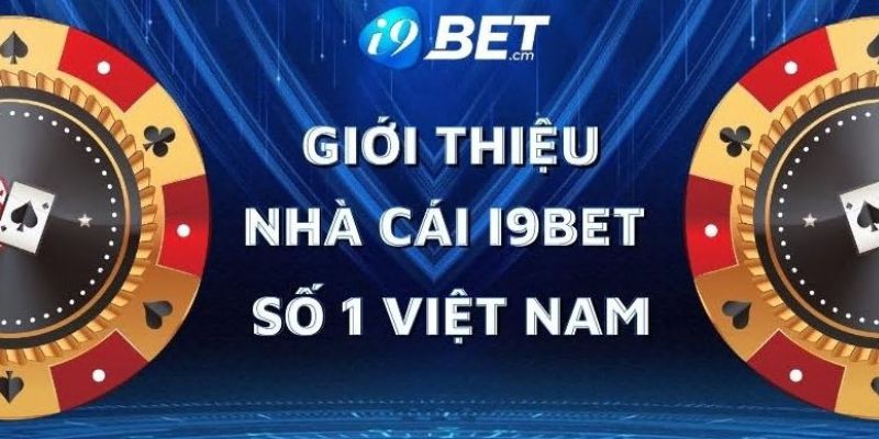 Rikvip có những khía cạnh thú vị nào? - Rikvip