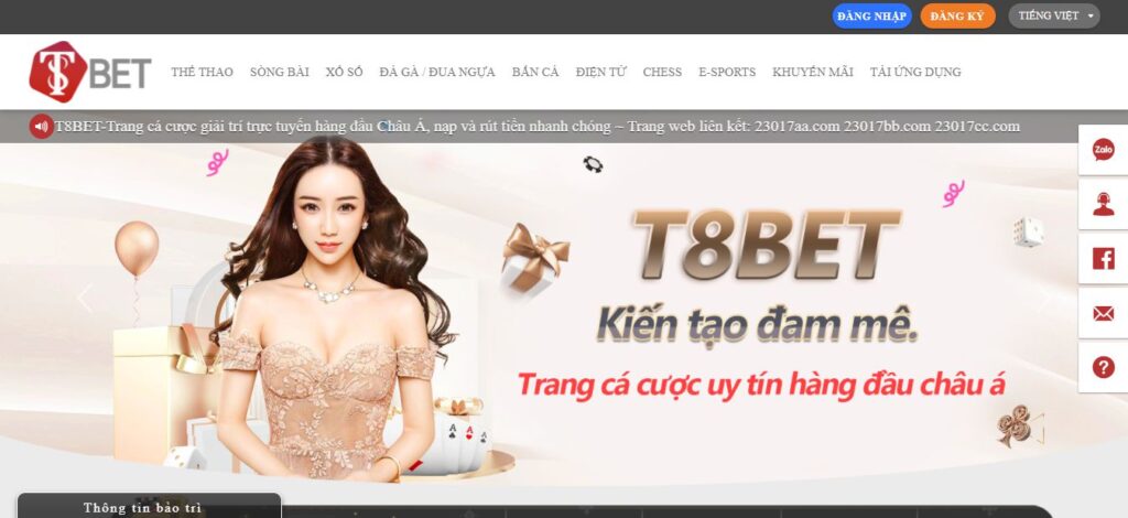Thông tin chung và hoạt động của 9Fun là gì? - 9Fun