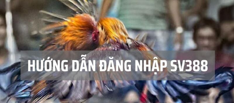 Nhận hướng dẫn chơi game từ 66Club - 66Club