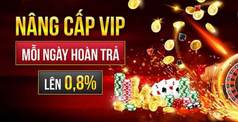 Thông tin liên hệ của Công ty 23Vip - 23Vip