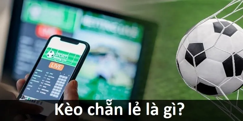 Các hoạt động quảng bá hấp dẫn của F8bet - F8bet