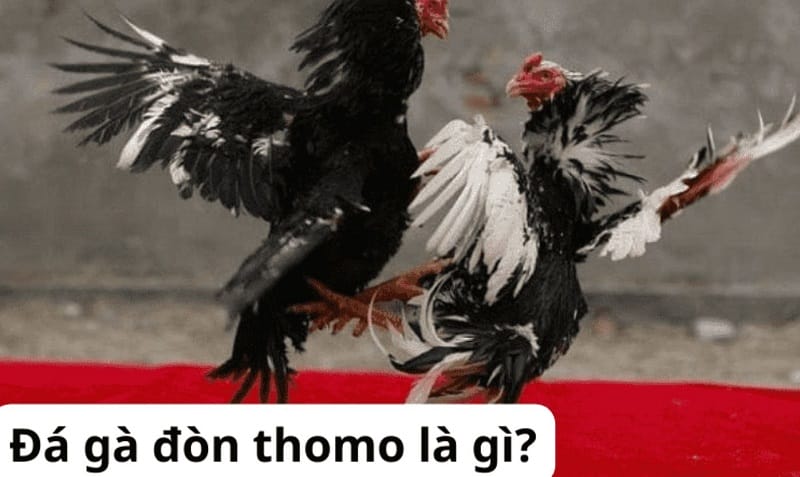 Cấp độ cao nhất là Vg99 - Vg99