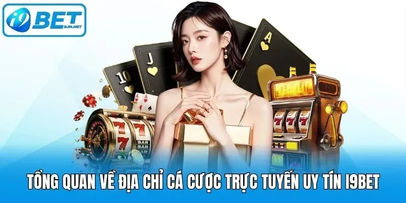 Tổng quan về vị trí Vin777 - Vin777