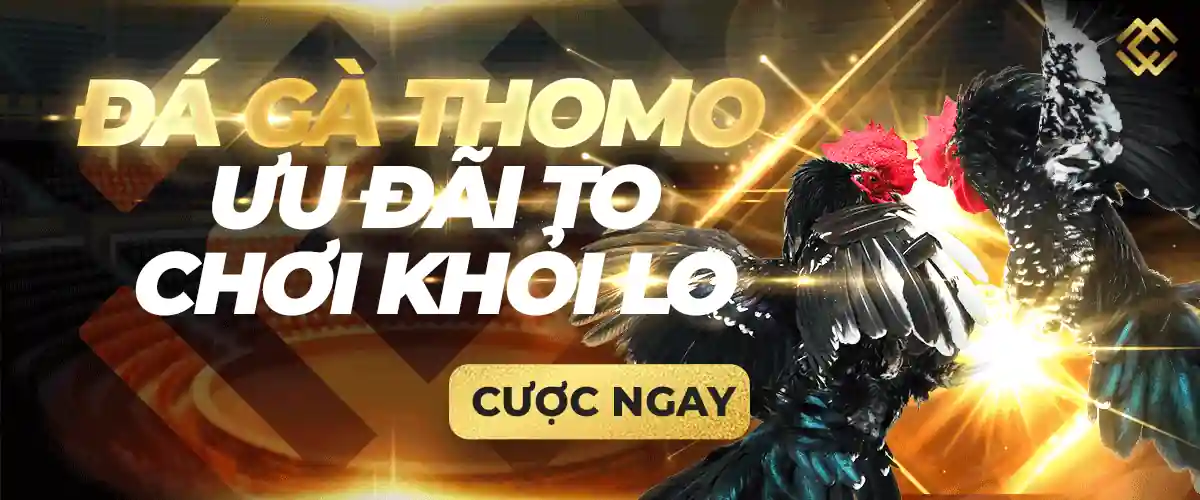 Trang web 88T Games có những ưu điểm độc đáo và đáng kể - 88T