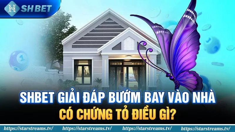 999Bet Games cung cấp nhiều hoạt động quảng bá chất lượng cao - 999Bet