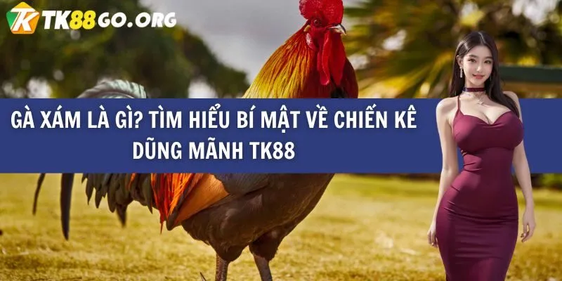 Nhiều tựa game được xếp hạng Mu9 đang trở thành lựa chọn phổ biến của nhiều người - Mu9