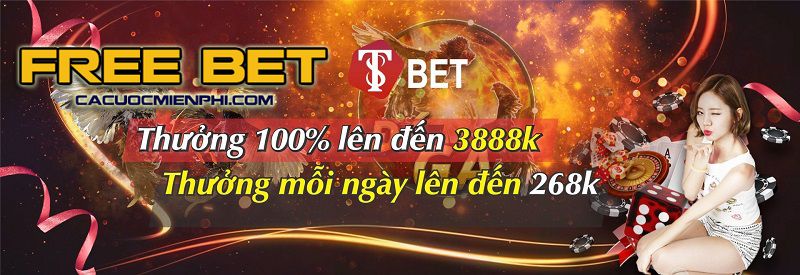 Giới thiệu ngắn gọn về 2Qcom, một trang web cổng thông tin trò chơi - 2Q